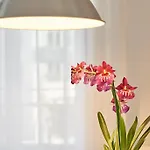 Ponte Nova Apartman