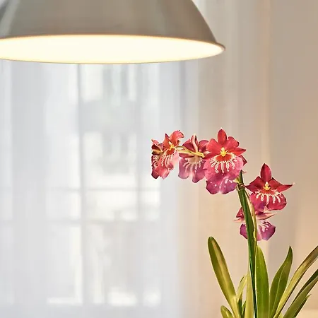 Ponte Nova Апартаменты