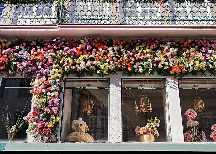 Apartman Ponte Nova *